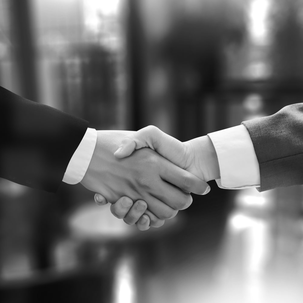 握手をしている写真